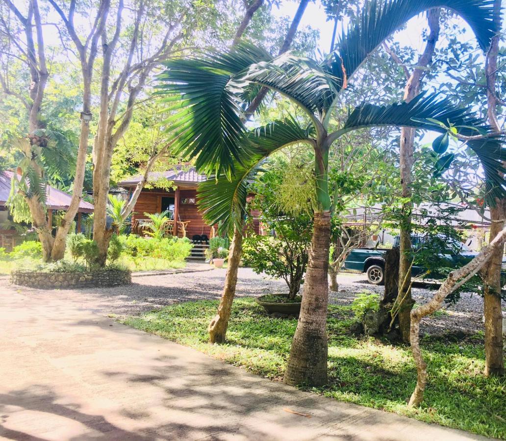 Pahiluna Guesthouse Panglao Εξωτερικό φωτογραφία