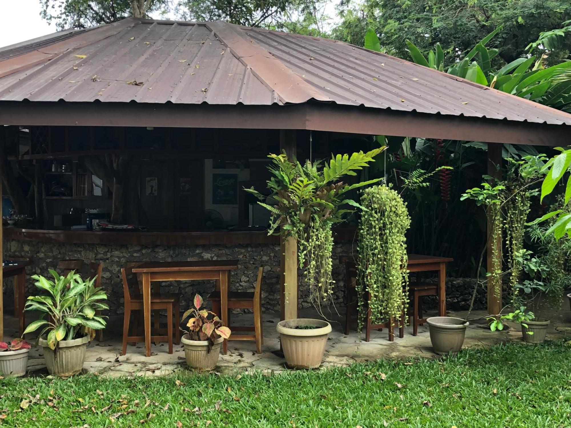 Pahiluna Guesthouse Panglao Εξωτερικό φωτογραφία